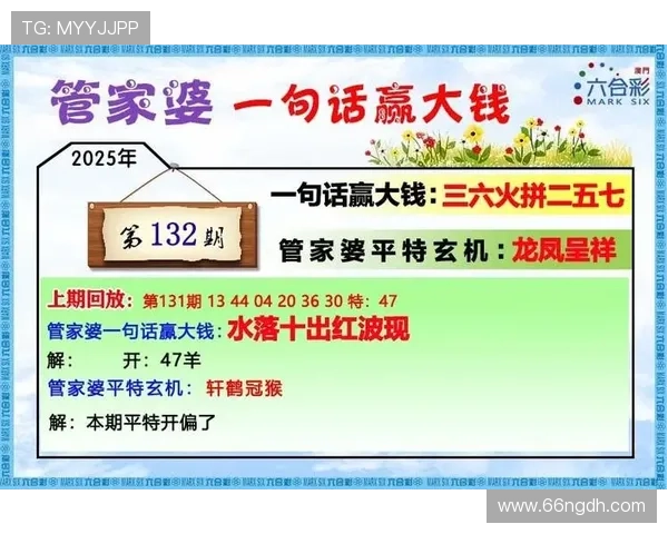 全面解析澳门开奖号码查询结果表格及其使用方法