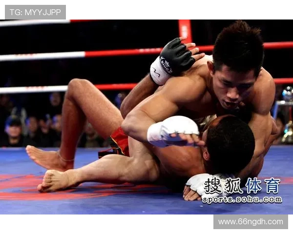 2026年杨建平精彩比赛视频回顾与分析